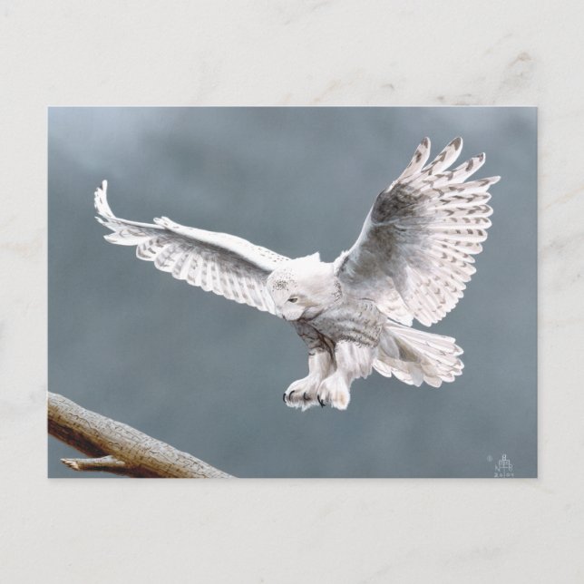 Carte Postale Neige (Devant)