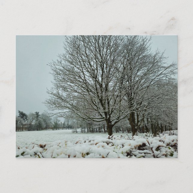 Carte Postale Neige (Devant)