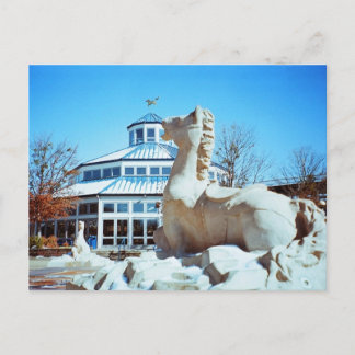 Carte Postale Neige à Coolidge