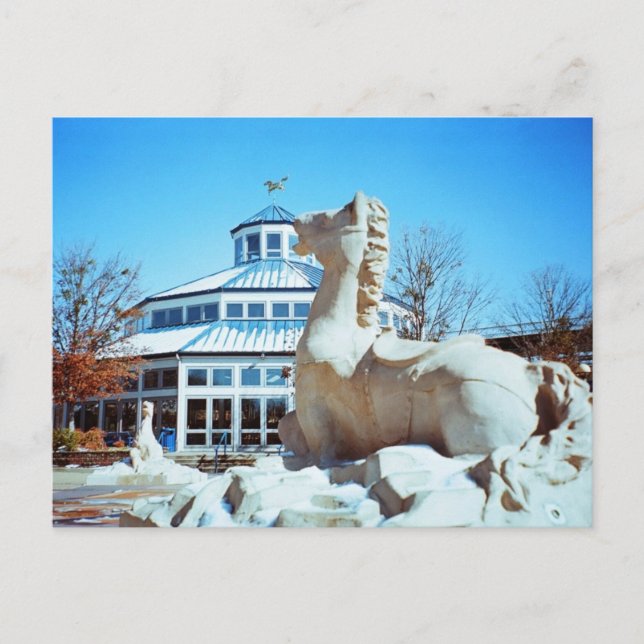 Carte Postale Neige à Coolidge (Devant)