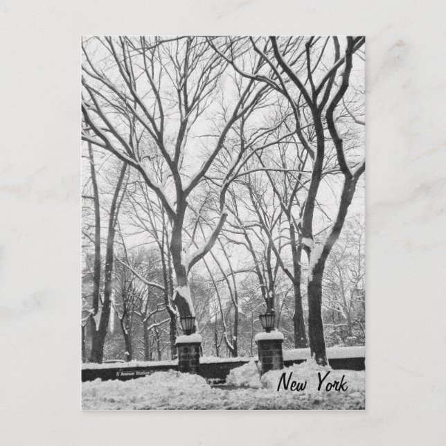 Carte Postale Neige à New York (Devant)