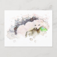 *~* Neige Arctique blanc Renard polaire Ap18 Faune