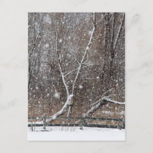 Carte Postale Neige au parc