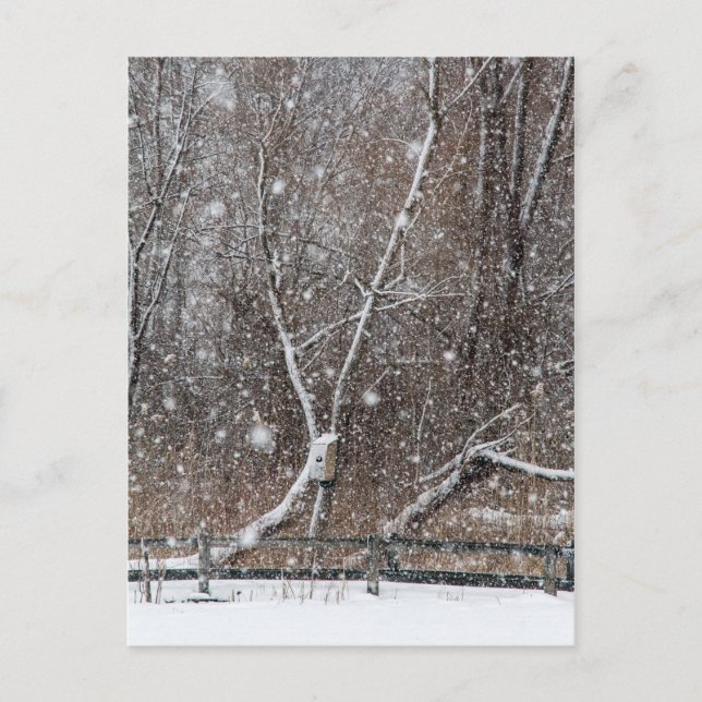 Carte Postale Neige au parc (Devant)