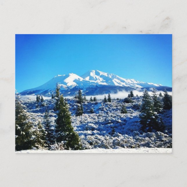 Carte Postale Neige d'hiver à Mount Shasta, CA (Devant)