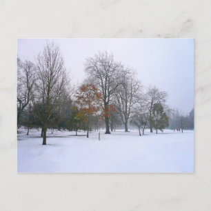 Carte Postale Neige d'hiver, Bute Park, Cardiff, Pays de Galles