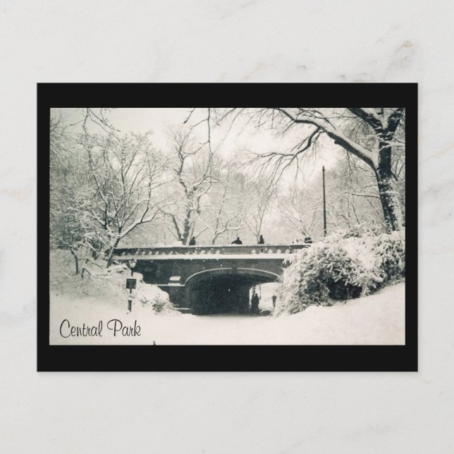 Carte Postale neige du parc central (Devant)