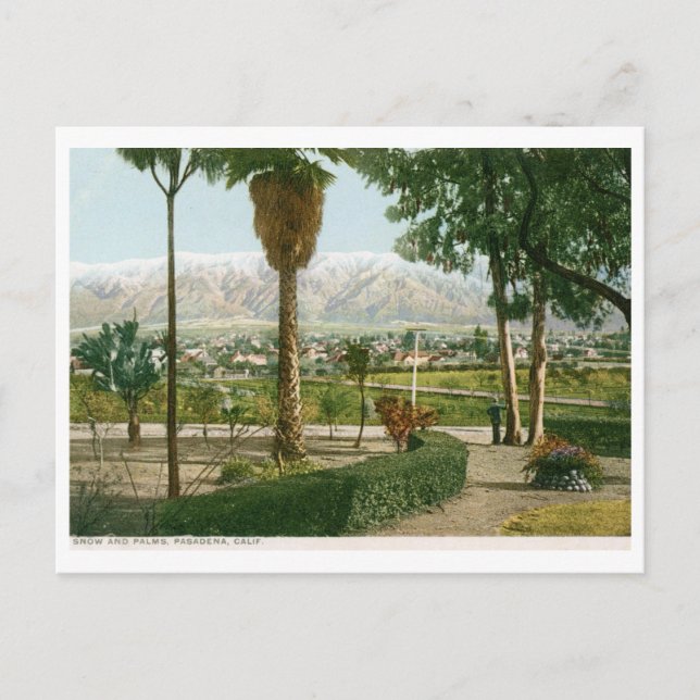 Carte Postale Neige et Palmiers, Pasadena CA Vintage (Devant)
