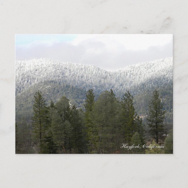 Carte Postale Neige Fraîche en Poudre.... (Devant)