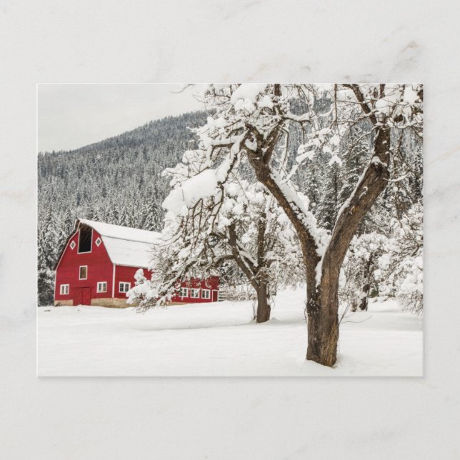 Carte Postale Neige fraîche sur grange rouge (Devant)