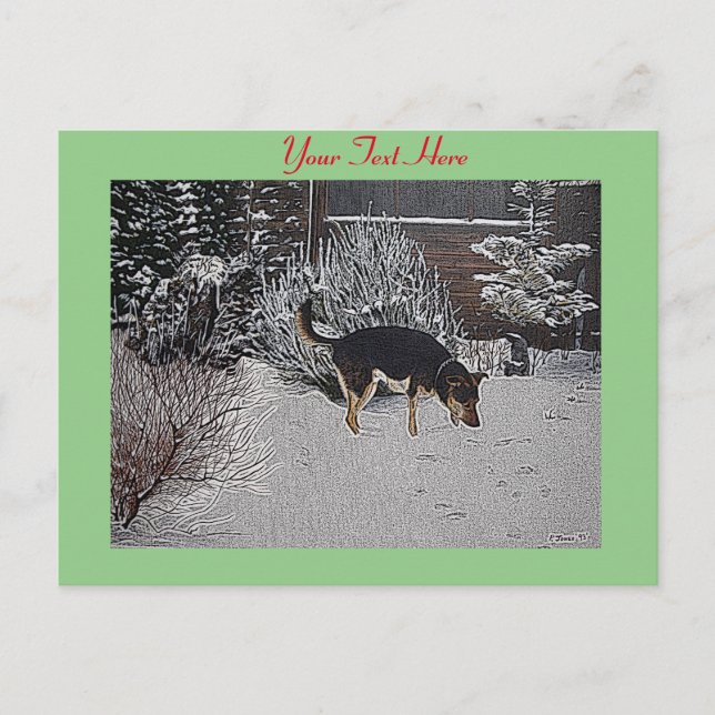 Carte Postale Neige hivernale scène avec mignon chien noir et br (Devant)