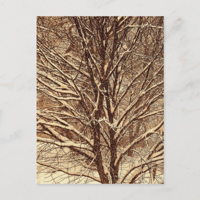 Carte Postale Neige sépia (Devant)