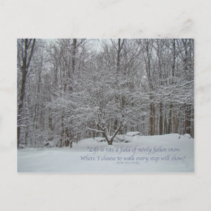 Carte Postale Neige sur Citation de Dogwood Tree Denis Waitley