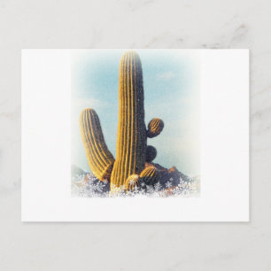Carte Postale Neige tombant sur le Saguaro