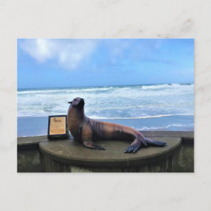 Carte Postale Nelscott Reef, Lincoln City, Oregon