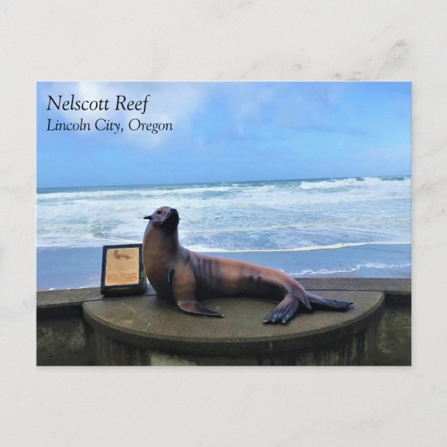 Carte Postale Nelscott Reef, Lincoln City, Oregon Postcard (Devant)