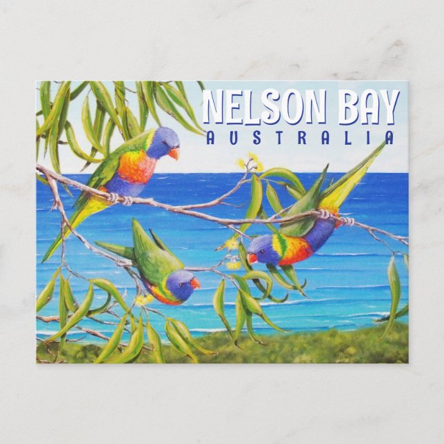 Carte Postale Nelson Bay Australie Birds Lorikeet Beach Peinture (Devant)