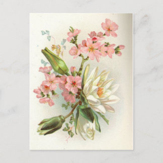 Carte Postale nénuphar