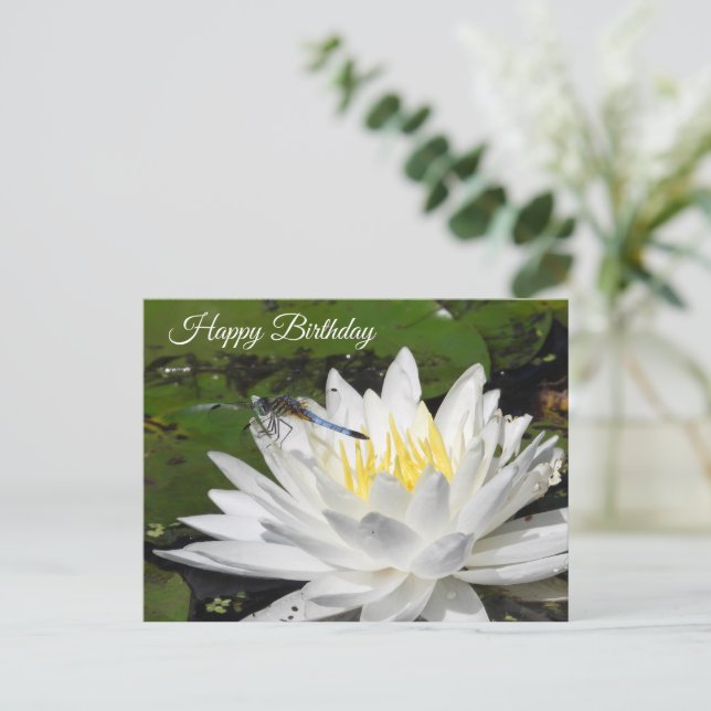 Carte Postale Nénuphar Blanc, Anniversaire de la Libellule Bleue (Debout devant)