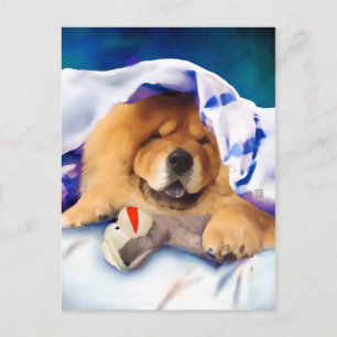 Carte postale NEO heARTdog chow