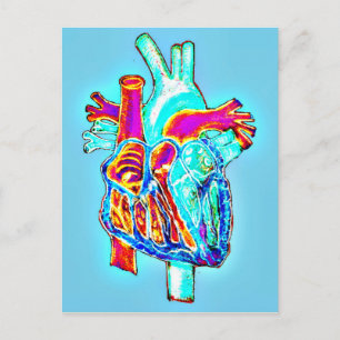 Carte Postale Neon Hand Drawn Anatomical Heart