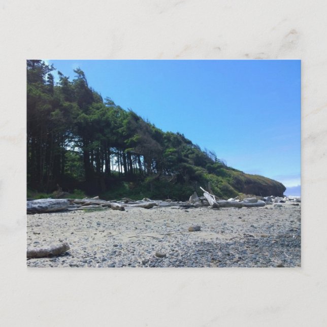 Carte Postale Neptune State Park, OU (Devant)