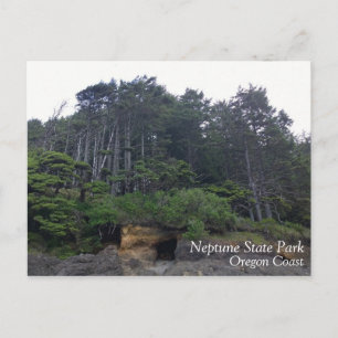 Carte Postale Neptune State Park, OU