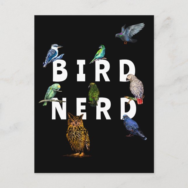 Carte Postale NERD DES OISEAUX, perroquets, hibou, pigeons, kook (Devant)