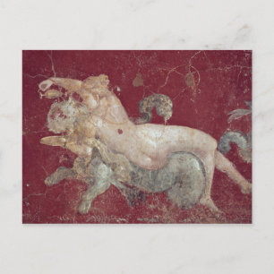 Carte Postale Nereid s'est approché d'un tigre de mer, de Stabia