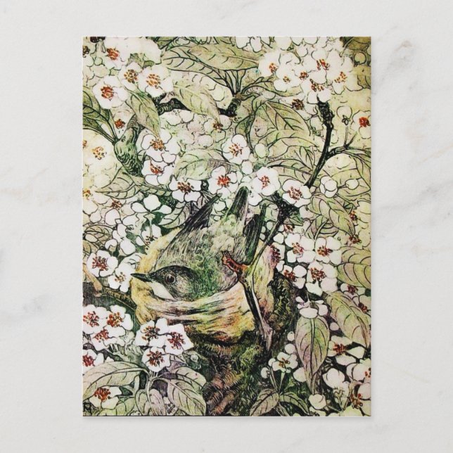 CARTE POSTALE NEST D'OISEAU, ARBRE AVEC FLEURS BROWN DE PRINTEMP (Devant)