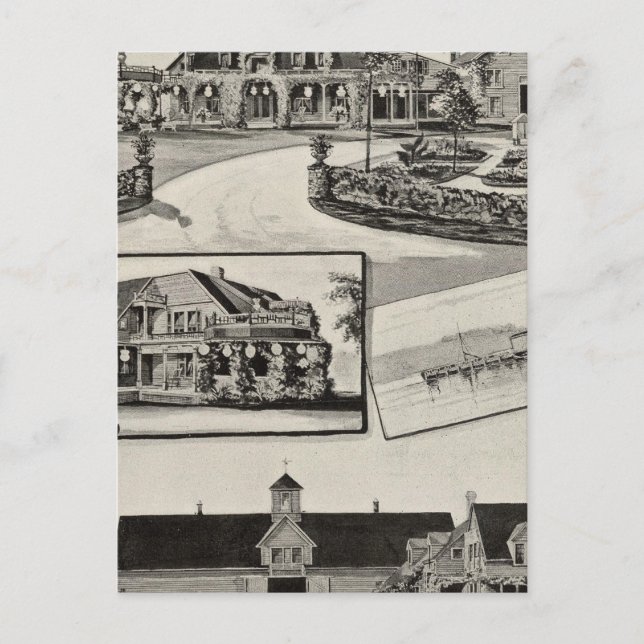Carte Postale Nestledown, ferme Zebley (Devant)