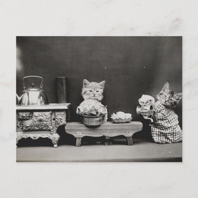 Carte Postale Nettoyer la théière (Devant)