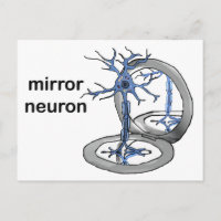 Neuron miroir