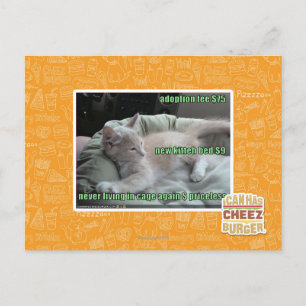 Carte Postale Never living in a cage again