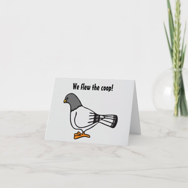 Carte postale New Address Pigeon Gris (Devant)