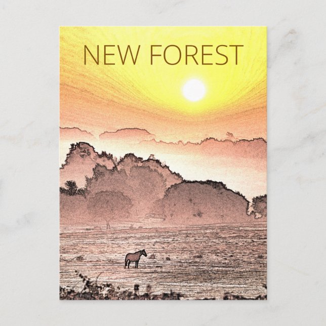 Carte Postale New Forest Pony à Sunrise (Devant)