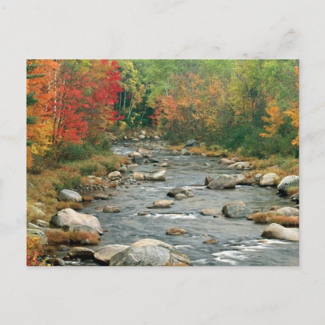 Carte Postale New Hampshire Fall (Devant)