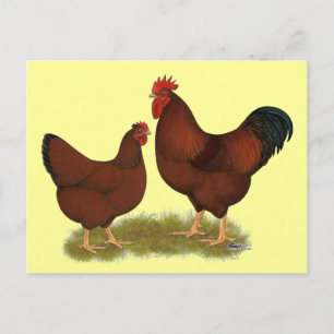 Carte Postale New Hampshire Reds