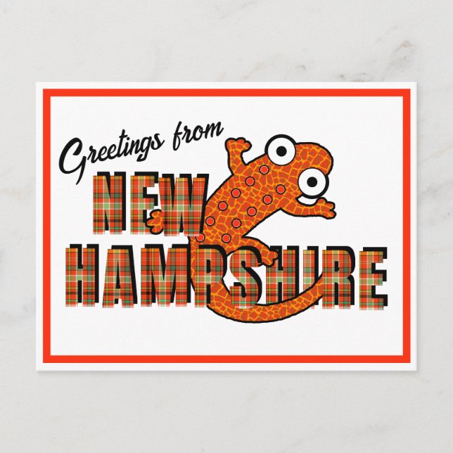 Carte Postale New Hampshire State Symbol Red Spotted Newt Orange (Devant)