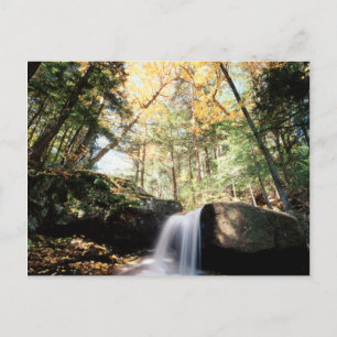 Carte Postale New Hampshire, Une cascade dans le White