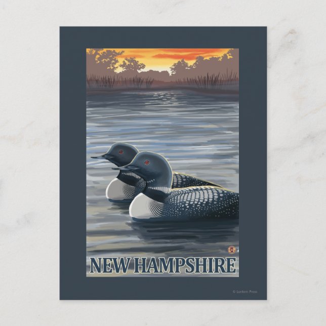 Carte Postale New HampshireCommon Loon (Devant)