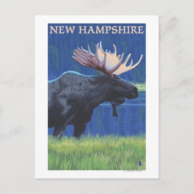 Carte Postale New HampshireMoose au clair de lune (Devant)