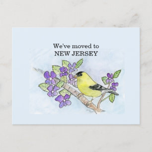 Carte Postale New Jersey