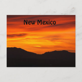 Carte Postale New mexico postcard