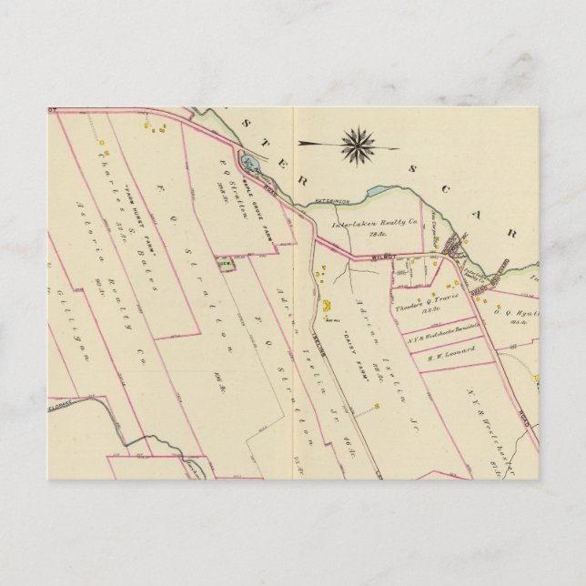 Carte Postale New Rochelle ward 3, New York (Devant)