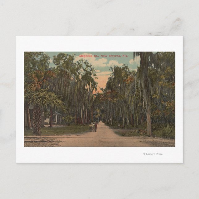 Carte Postale New Smyrna, Floride - Vue sur Magnolia (Devant)