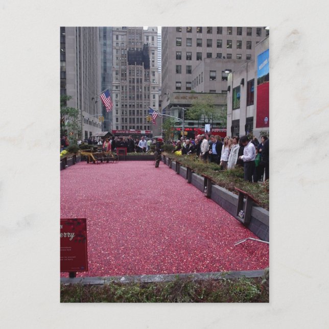 CARTE POSTALE NEW YORK (Devant)