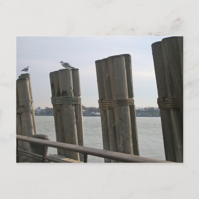 Carte Postale New York - Battery Park (Devant)