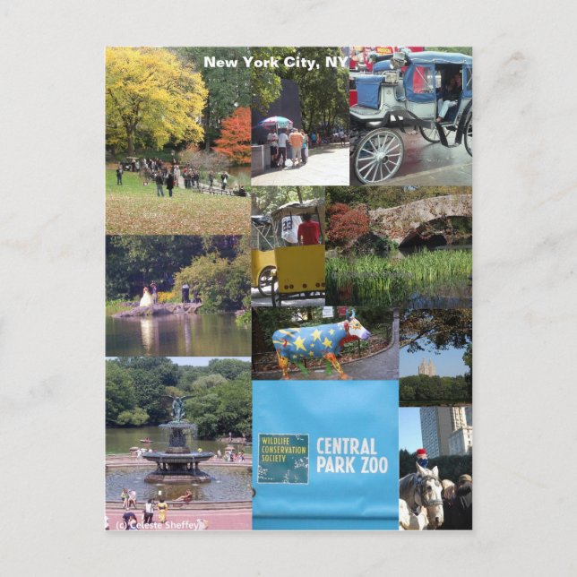 Carte Postale New York City, New York (Devant)