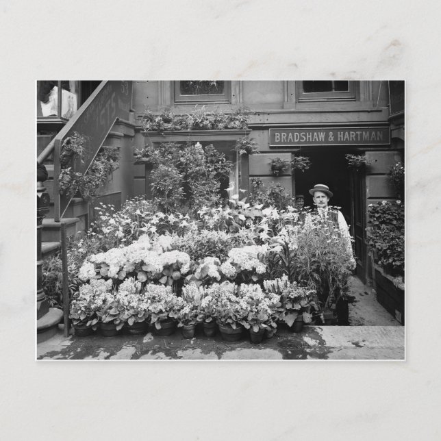 Carte Postale New York Flower Shop, 1895 (Devant)